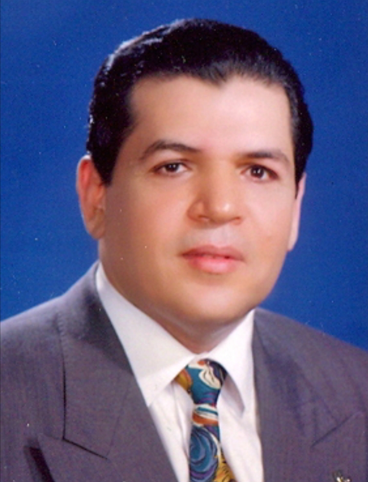 Mohsen Mokhtar El-Sayed Ashour - Portfolio | NRC